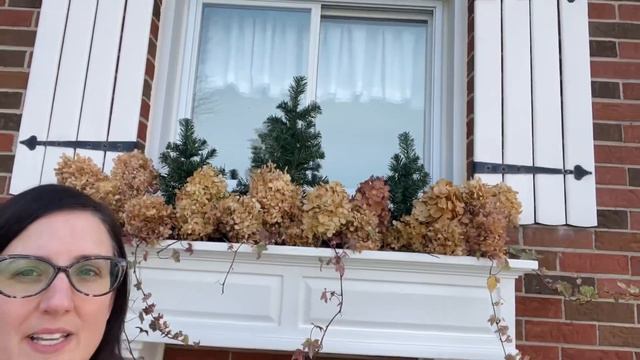 Easy Fall/Winter Window Planter - using Hydrangea, Ivy & Dollarama смотреть онлайн