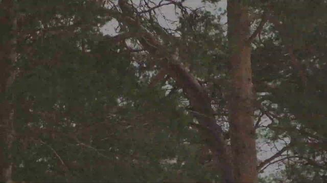 Зимний GAIDPARK2020: участники о локальном и глобальном смотреть онлайн