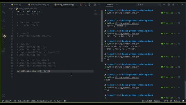 Basic Python Training (Online) - IO, Output Formatting and Manipulation смотреть онлайн