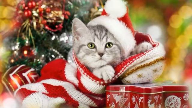 Новогодняя... смотреть онлайн