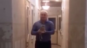«Вот у нас, 2 котика катается, не один...»