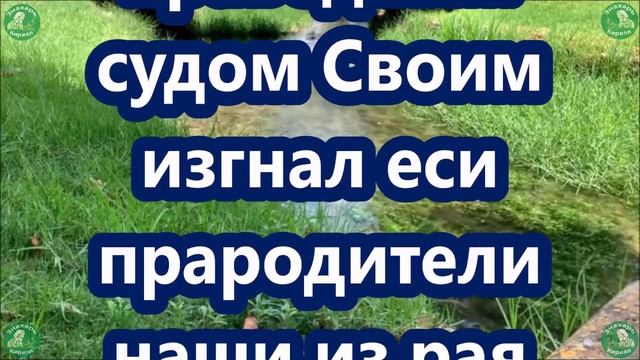 Сильная Молитва от Порчи на Сентябрь 2024. ✝☦ Снять Порчу с Помощью Молитвы ✝☦Знахарь-Кирилл смотреть онлайн