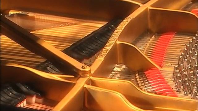 Roberto McCausland Dieppa -D- Bela Bartok Allegro Barbaro Music from Documentary смотреть онлайн