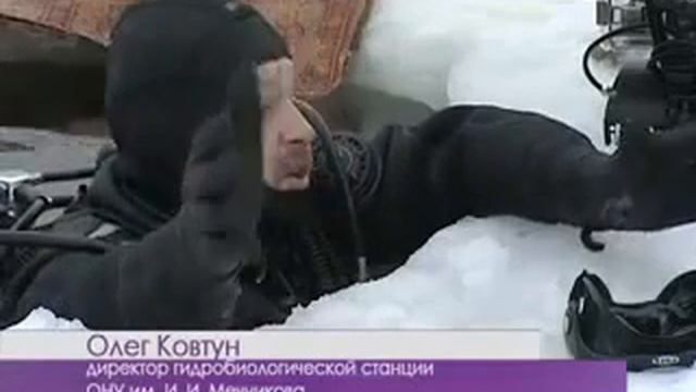 © Обитатели Черного моря после суровой зимы Зимний дайвинг Ice Diving смотреть онлайн
