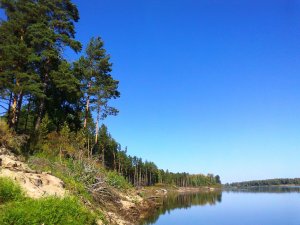 Первозданная красота сибирской реки Чулым