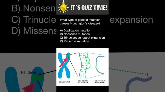Huntington's disease quiz смотреть онлайн