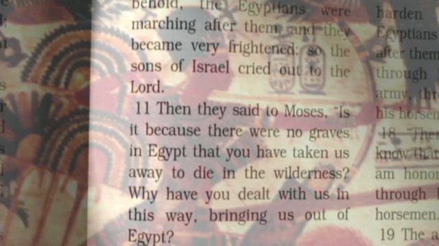 THE EXODUS EXPLORED—The Red Sea смотреть онлайн
