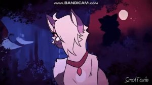 Коты-Воители/Саша и Звездоцап/Клип-Зачем