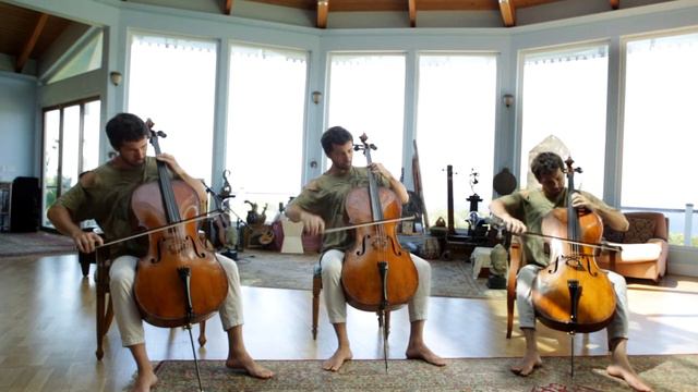 Georgy Gusev - Starlings Over Rome - Cello Trio ft. MA-100 and MA-1000 Microphones смотреть онлайн