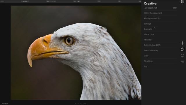 Luminar 4 vs Lightroom Which is BETTER? смотреть онлайн