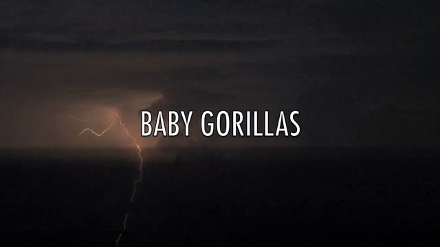 Particulars Teaser смотреть онлайн