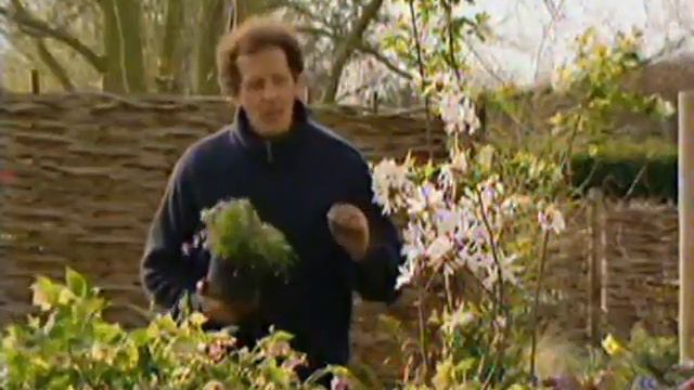 Gardeners World seas 38 seas 7/40 (April 8, 2005) смотреть онлайн