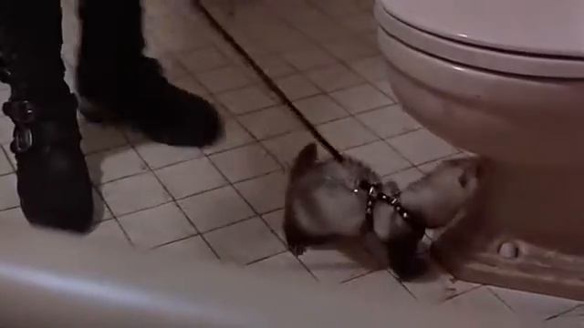 Большой Лебовский The_Big_Lebowski Лебовский в ванной смотреть онлайн