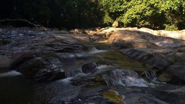 м 271 смотреть онлайн