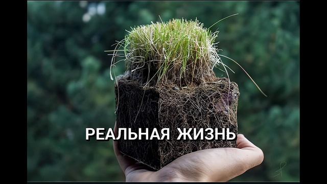 БЛОКМЕН ГО ПРОТИВ РЕАЛЬНАЯ ЖИЗНЬ Ч3 смотреть онлайн