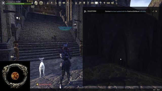 ESO - High Isle Collector Edition Pre-purchase Items смотреть онлайн