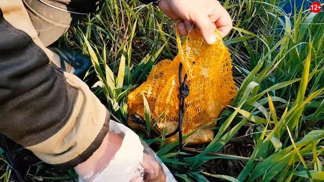 Ловим плотву на донку на опарыша в лесной микроречке [12+] смотреть онлайн