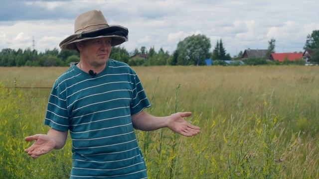 Медоносы - из чего пчёлы делают мёд.#рой #улей #пасека #медоносы #пчелы смотреть онлайн