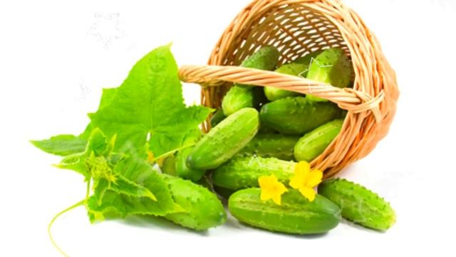 ЛЕЧЕБНЫЕ СВОЙСТВА ОГУРЦА / огурец польза и вред