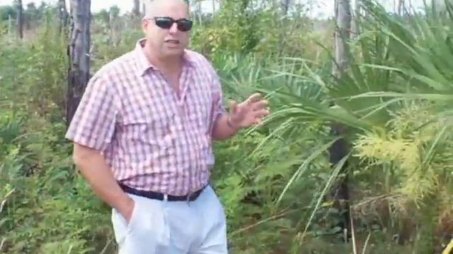 TROPICAL NURSERY- HOME & PRIVATE FOREST смотреть онлайн