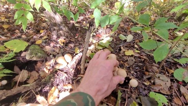 Новокаменка 2.Осень смотреть онлайн