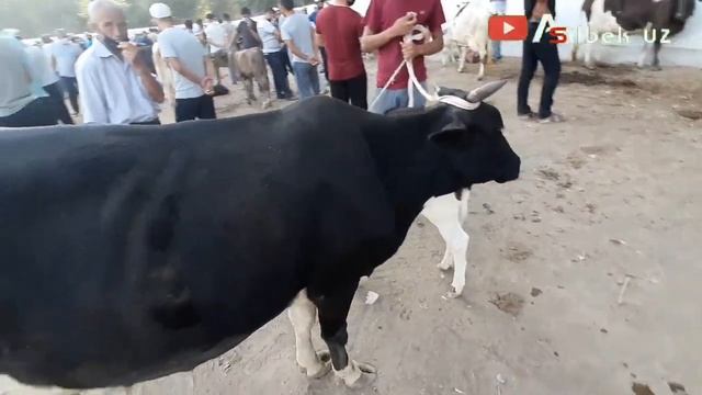 ЯЗАВОН БОЗОРИДА СОНГИ НАРХЛАР. смотреть онлайн