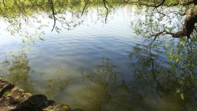 Прогулка у Воды.