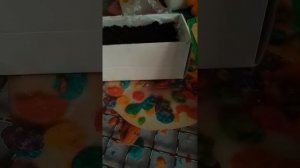 замачивание и закалка семян капусты для высадки в грунт