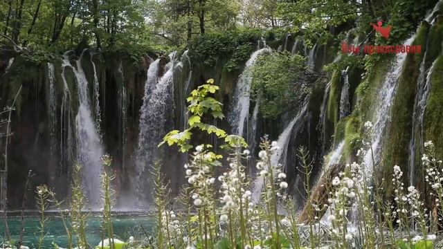 Поклоны/ Порфирий Кавсокаливит смотреть онлайн