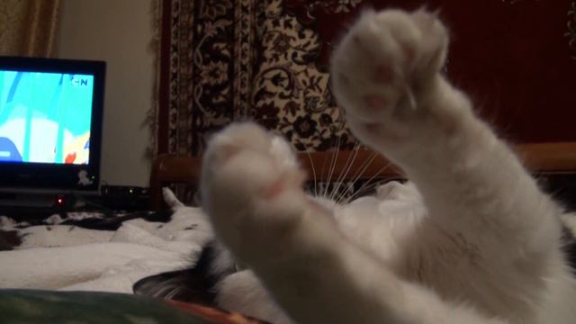 Моя любимая игрушка. My favorite toy :3 смотреть онлайн