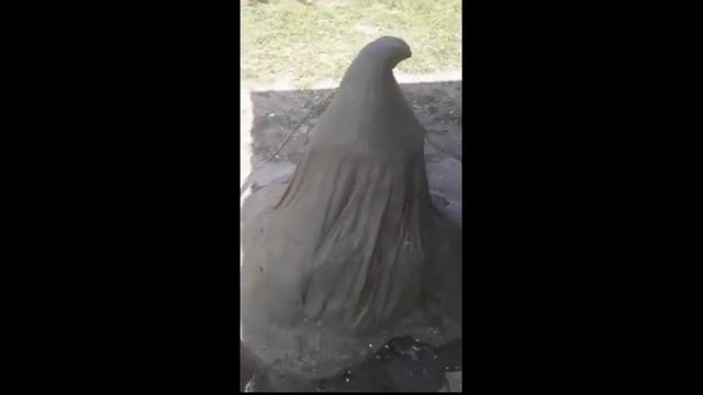 Арт бетон.(оформления уличного крана и водонососной станции) смотреть онлайн