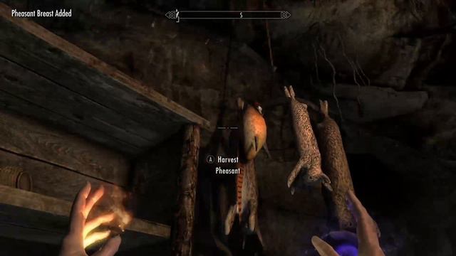 Letsplay with Doom Skyrim : The flawed Varla Stone смотреть онлайн