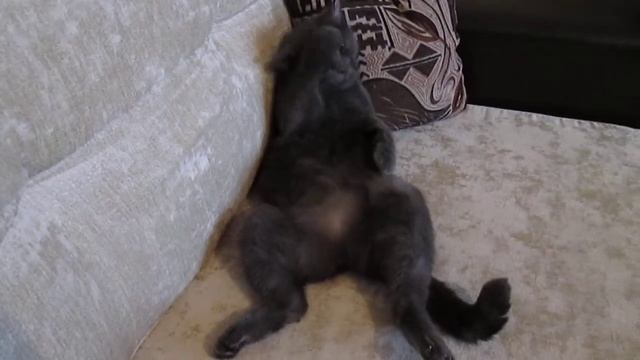 серы смотреть онлайн