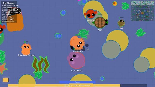 НАЧИНАЕМ ИГРАТЬ КОМАНДОЙ, ВМЕСТЕ МЫ СИЛА. Прохождение игры Mope.io