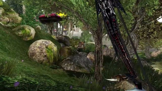 Morrowind за коренную данмерку. Часть 12. Странствия и спаривающиеся кагути. смотреть онлайн