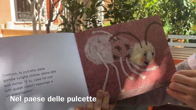 Favola: Nel paese delle pulcette. смотреть онлайн