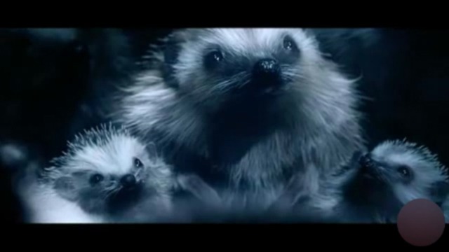 Бог ёжиков смотреть онлайн
