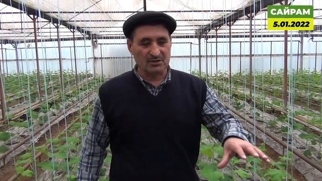 Стимуляция корневой системы на огурце - залог хороших урожаев! смотреть онлайн