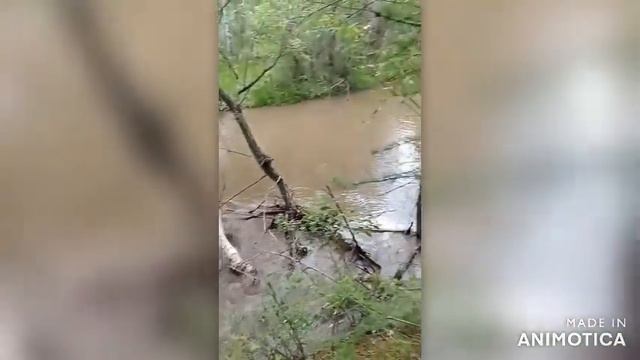 Хапчеранга: Кофейная река кисельные берега смотреть онлайн