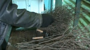 Метла из дерезы.Как связать метлу при помощи ПЭТ бутылки.Метла своими руками