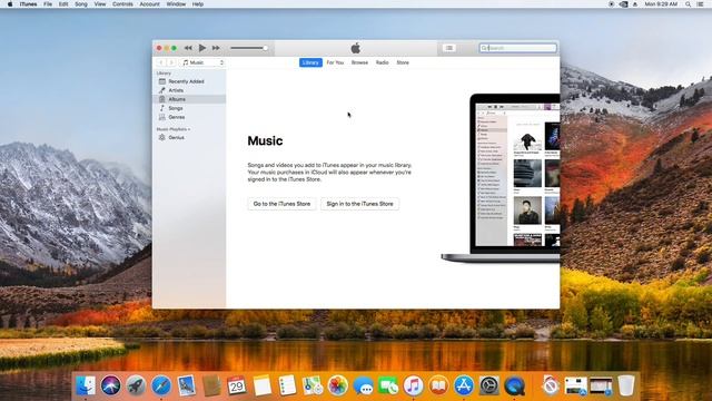 Mac OS X High Sierra in 2024 (abandonware) смотреть онлайн