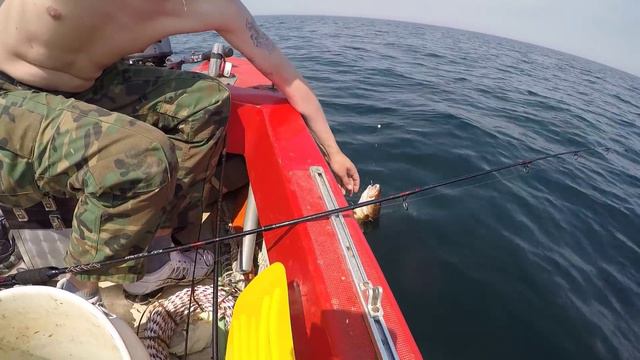 Рыбалка в Германии 35 Ловля трески В бухте Хохвахт Hohwacht Bucht смотреть онлайн