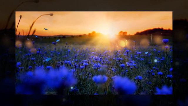 Очень Красивая Природа и Музыка!!! смотреть онлайн