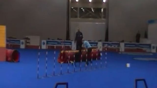 Пацкевич Бад