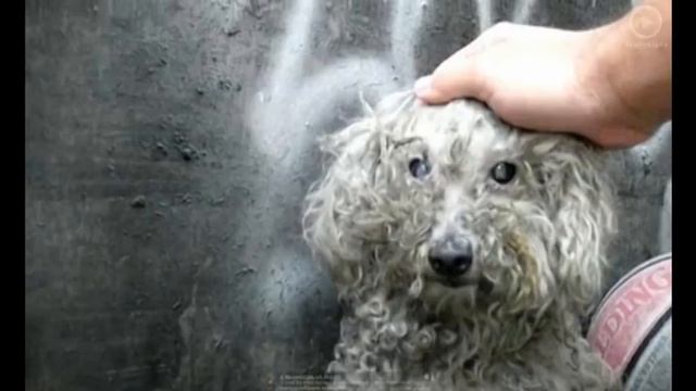 не бросайте меня смотреть онлайн