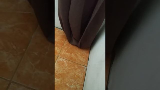 Ужас. Плесень и сырость у нас в доме (20.01.2019) | Многодетная семья | Черногория смотреть онлайн