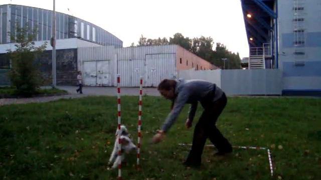 Мила. Вход в слалом слева 08.09.15 смотреть онлайн