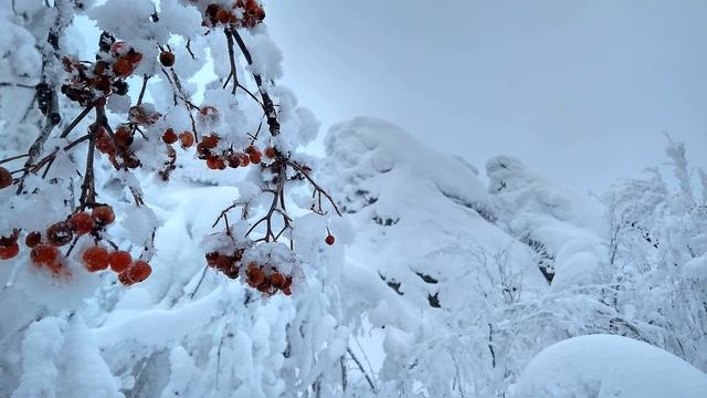 Б Пастернак  Первый снег #стихиозиме #поэтыCеребряноговека