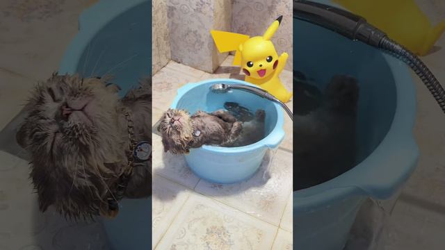 Водные процедуры смотреть онлайн