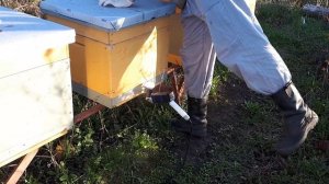 Обработка пчёл щавелевой кислотой сублиматором. Исполняется впервые!